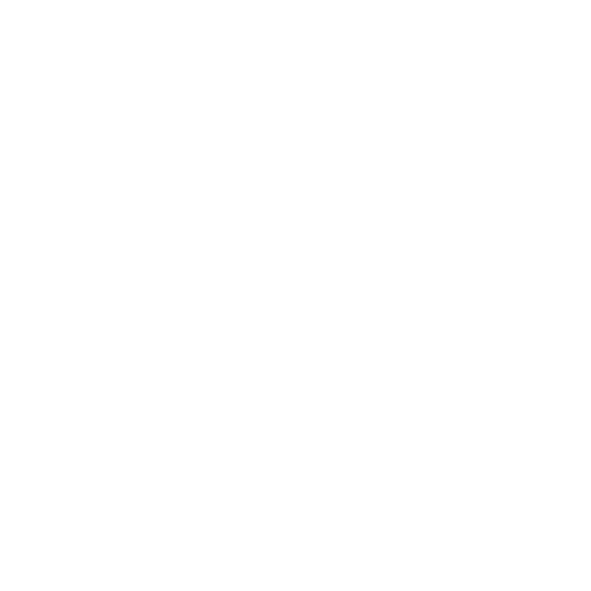 Rahgvik Holistics