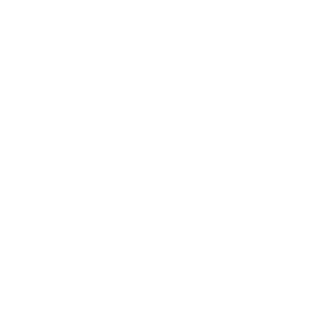 Rahgvik Holistics